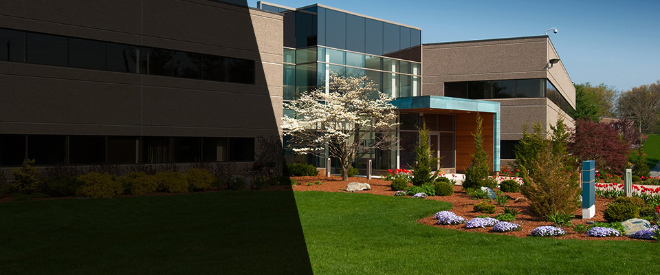 Visalia Landscapers