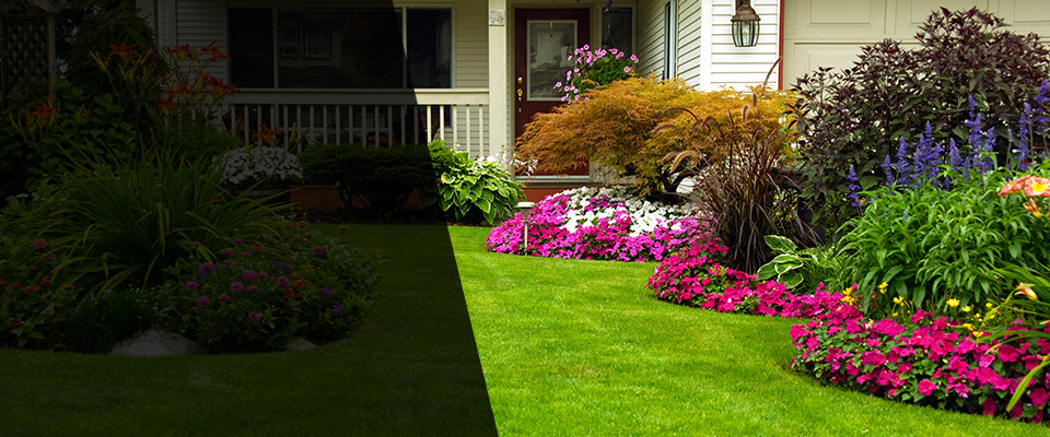 Visalia Landscapers