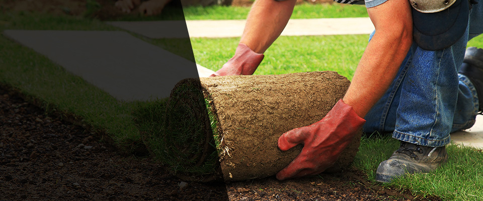 Visalia Landscapers